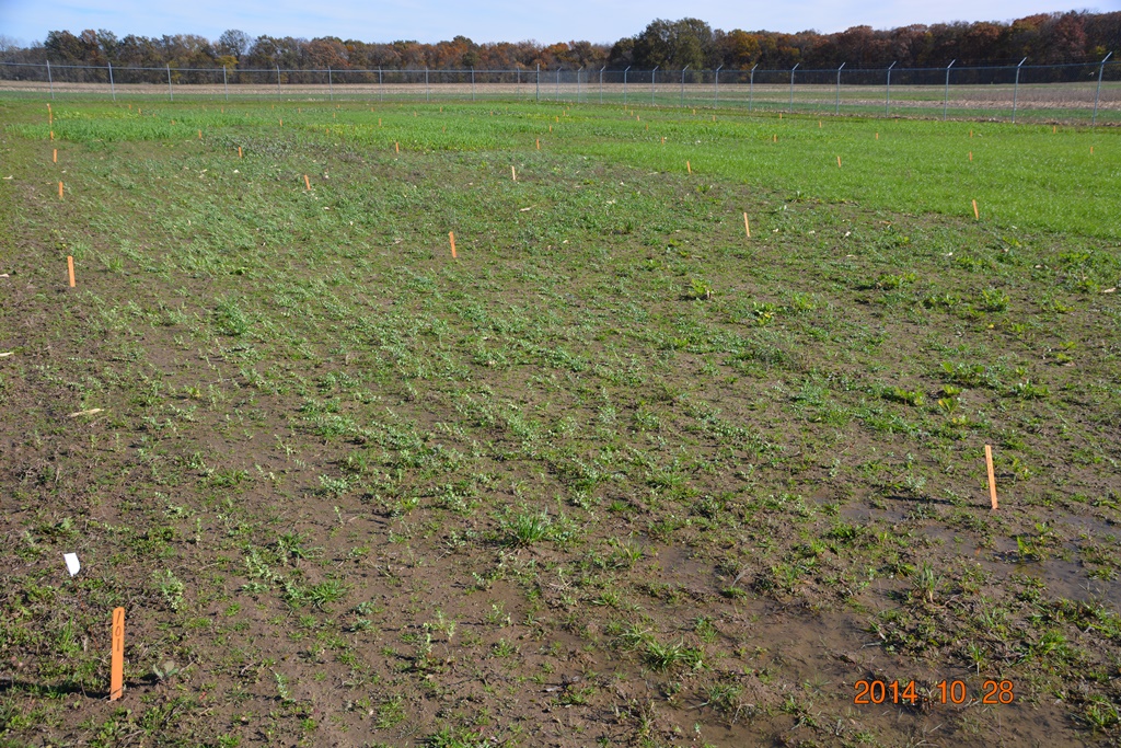 field crop research