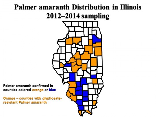 Palmer amaranth distribution May 2015
