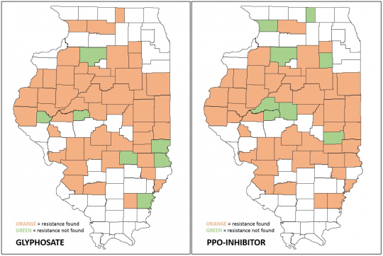 2015 Counties with waterhemp samples testing positive for PPO inhibitor or glyphosate resistance, University of Illinois Plant Clinic.