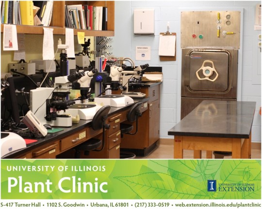 U of I Plant Clinic Diagnostic Lab 