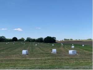 open field with hay bales wrapped in plastic scattered throughout