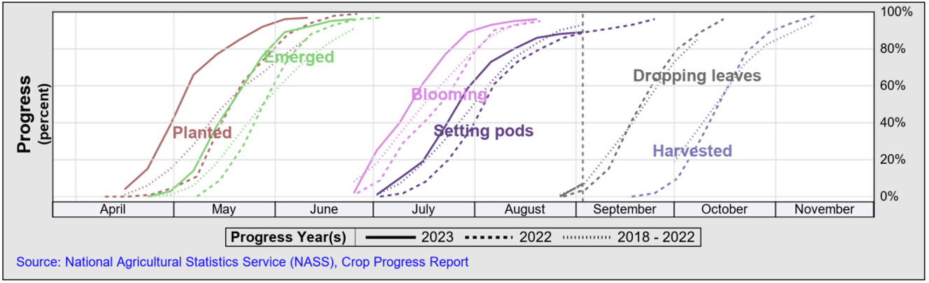 The 2023 soybean crop as the season winds down - farmdoc