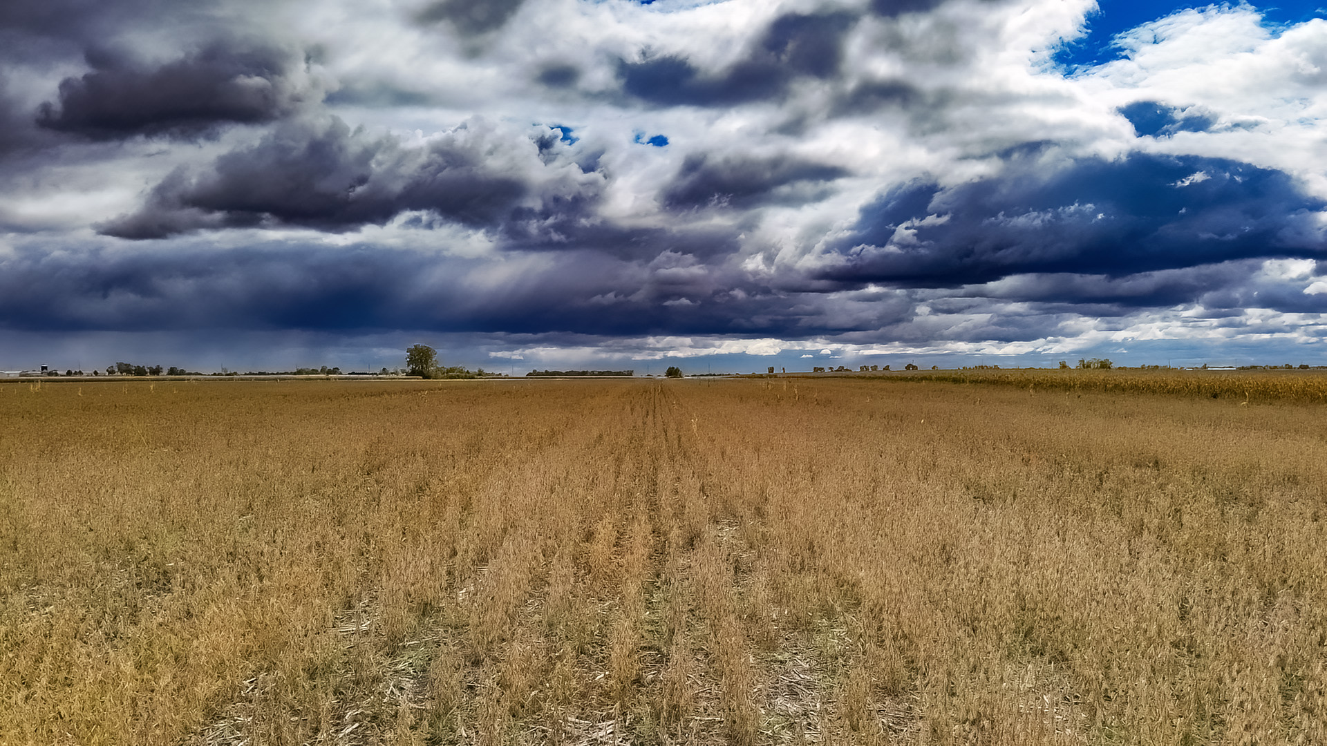 Navigating New Depreciation Rules To Avoid Surprises for Farm Taxpayers