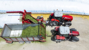Alfalfa haylage being bagged for storage