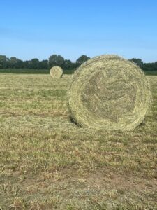 Hay harvest