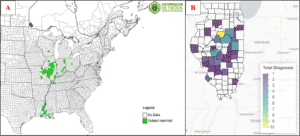 A) Map of confirmed simples of red crown roth in the United States as reported through EDDMapS and the Crop Protection Network B) Map of positive detections of red crown rot in Illinois by the University of Illinois Plant Clinic, 2020-2025.