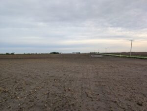 Landscape view of a soybean field saturated from rain with standing water in a low area and soybean plants just starting to emerge.