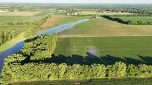 Low-lying parts of field holding pooled water from repeated rainfall events