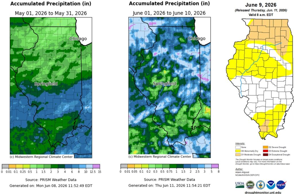 Maps showing the distribution of rainfall in Illinois in May and June 2026, and the U.S. Drought monitor map for Illinois as of June 9 2026