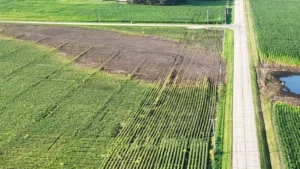 Flood-damaged field following heavy June rainfall